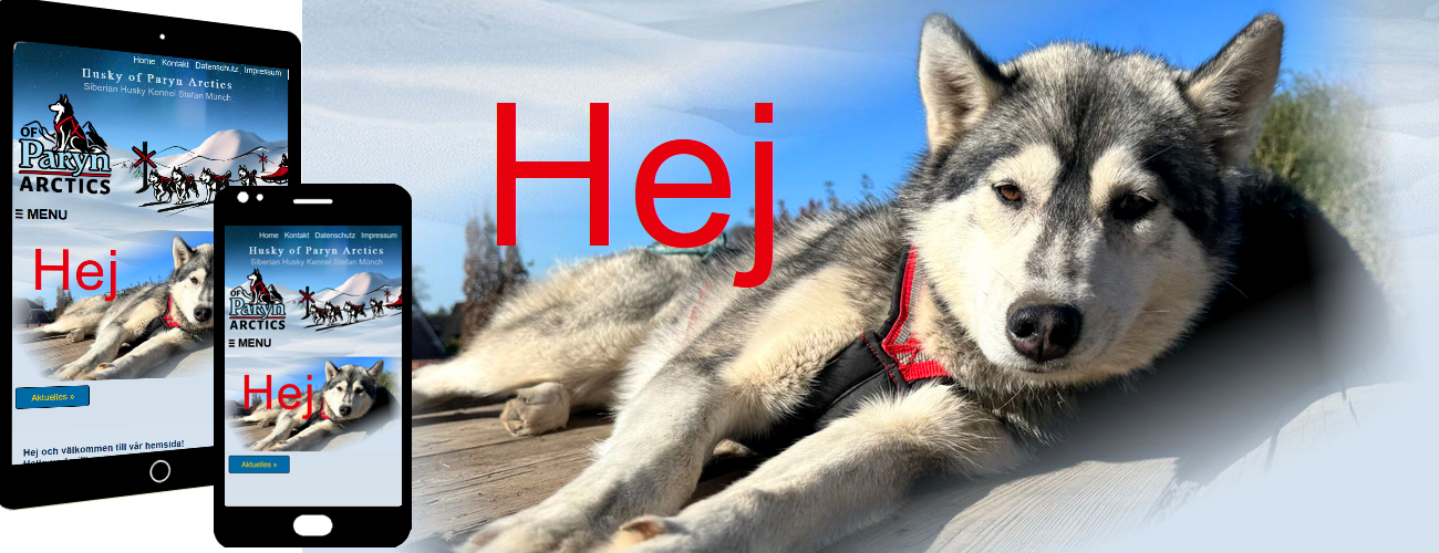 07-2-Homepage-erstellen-lassen.png