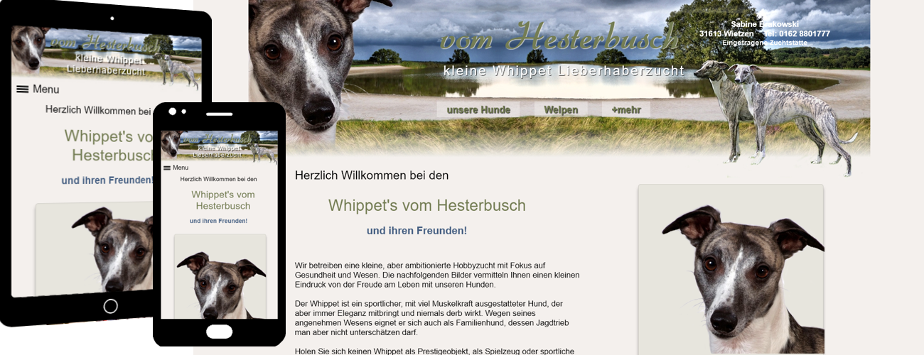 09-Homepage-erstellen-lassen.png