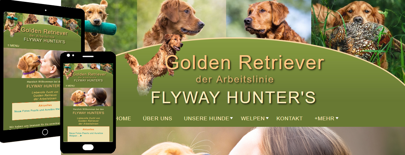 11-2-Homepage-erstellen-lassen.png