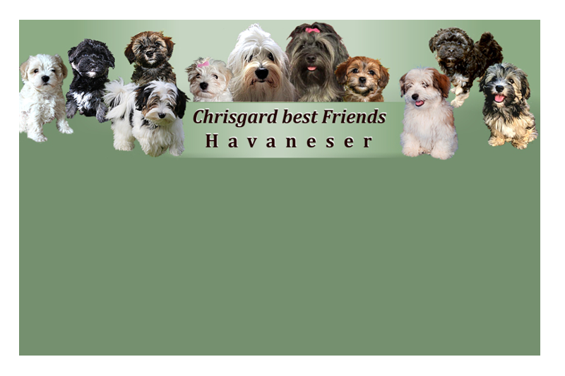 Chrisgard-Homepage Chrisgard-Homepage