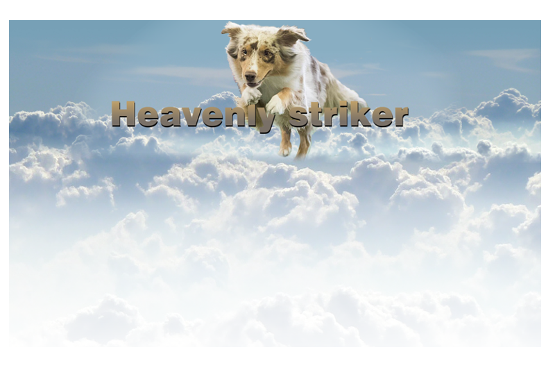 Heavenlystriker-Homepage Heavenlystriker-Homepage