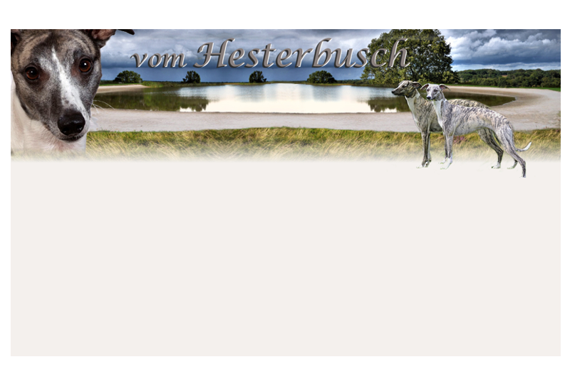 Hesterbusch-Homepage Hesterbusch-Homepage
