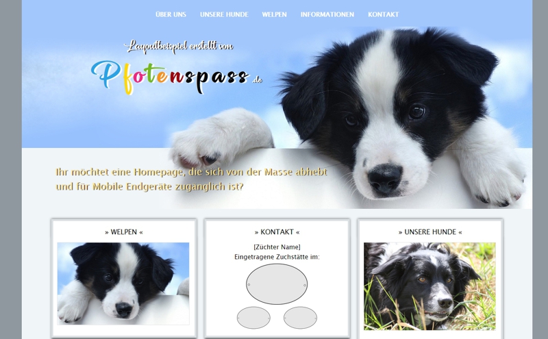 Homepagevorlage-Template-02-11