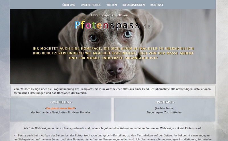 Homepagevorlage-Template-03-06