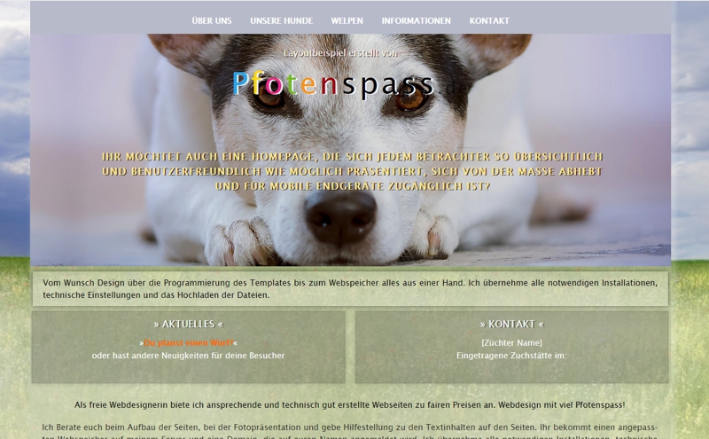 Homepagevorlage-Template-03-10