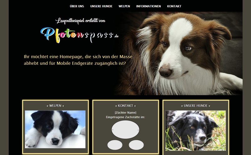 Homepagevorlage-Template-03-12