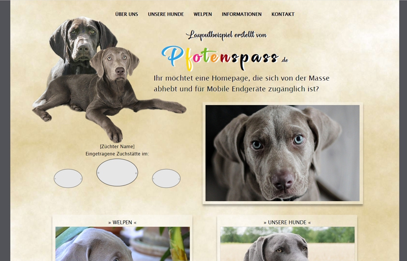 Homepagevorlage-Template-05-03