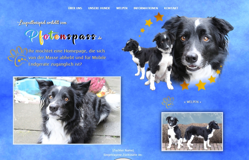 Homepagevorlage-Template-05-04
