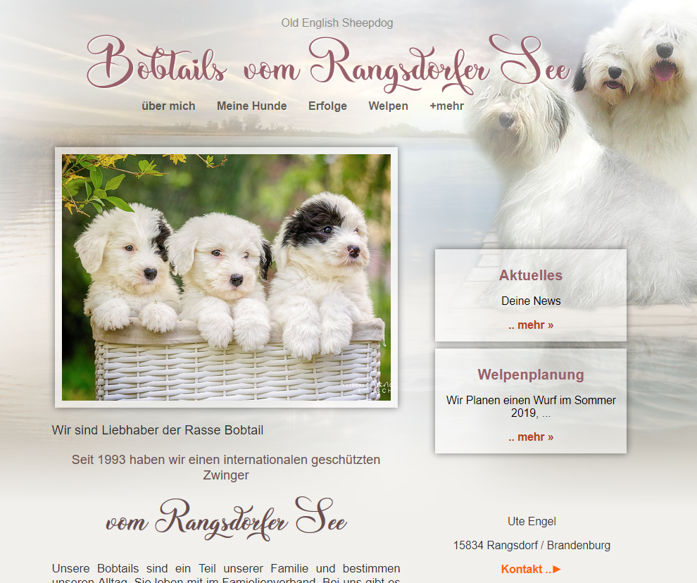 Bobtails-vom-rangsdorfer-see