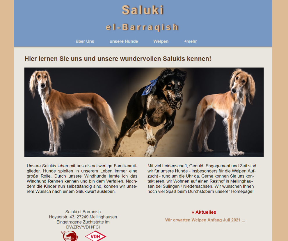 Saluki-el-barraqish