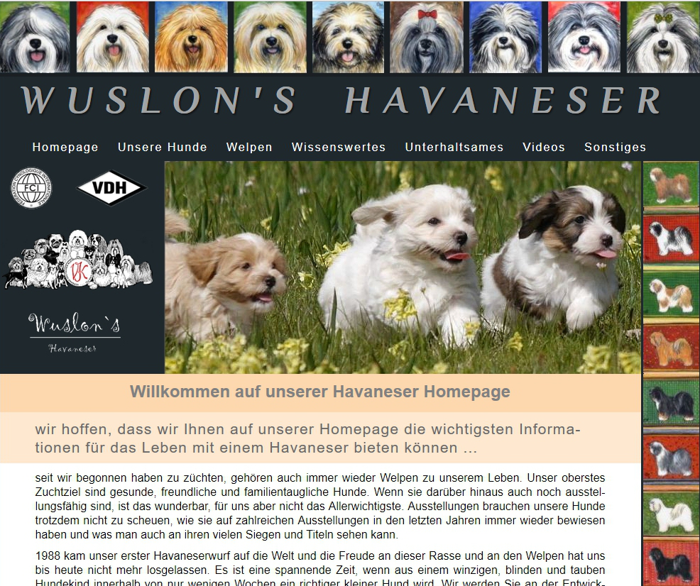 Wuslons-Havaneser