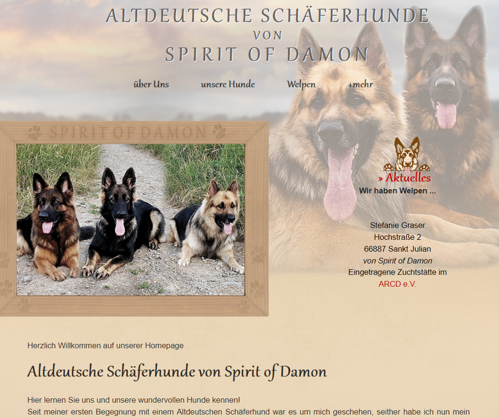 altdeutsche-Schaeferhunde-Spirit-of-damon