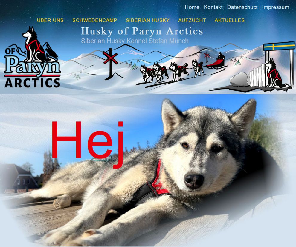 husky-of-paryn-arctics
