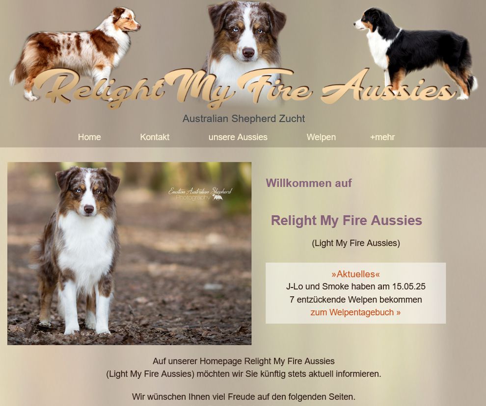 Relightmyfire-Aussies