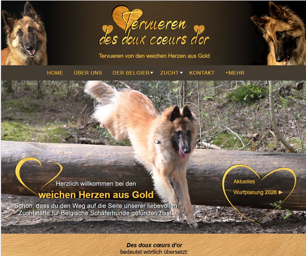 tervueren-douxcoeursdor